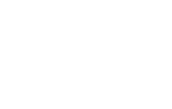 투명한 아로하