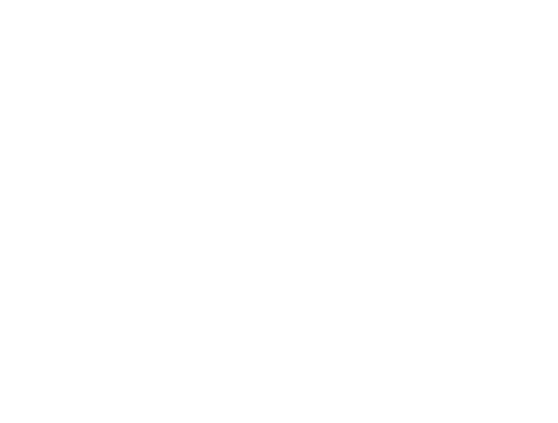 탱탱한 아로하